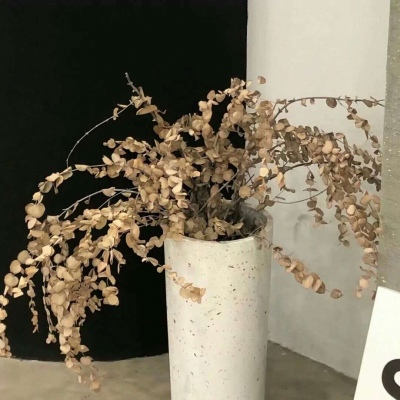 甘孜FurryQQ群介绍